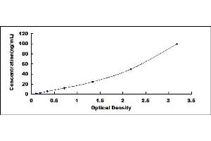 Typical standard curve (ICAM5 ELISA 试剂盒)