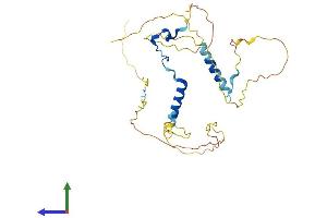 AlphaFold protein structure predicition of Mouse Recombinant Tssc4 Protein, UniprotID Q9JHE7