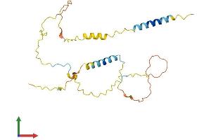 Protein Structure (PS) image for Linker For Activation of T Cells Family, Member 2 (LAT2) (AA 1-243) protein (His tag) (ABIN7550030)
