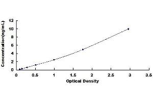Typical standard curve (SYCN ELISA 试剂盒)