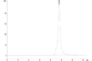 Size-exclusion chromatography-High Pressure Liquid Chromatography (SEC-HPLC) image for CD69 (CD69) (AA 62-199) protein (His tag) (ABIN7274211)