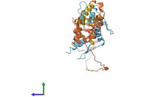Protein Structure (PS) image for Kruppel-Like Factor 7 (Ubiquitous) (KLF7) (AA 1-302) protein (His tag) (ABIN7548862)