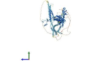 Protein Structure (PS) image for Dynactin 1 (DCTN1) (AA 1-1281) protein (His tag) (ABIN7562204)