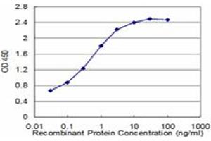Detection limit for recombinant GST tagged RXRG is approximately 0. (Retinoid X Receptor gamma 抗体  (AA 1-75))