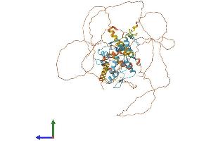 AlphaFold protein structure predicition of Human Recombinant BCL6 Protein, UniprotID P41182 (BCL6 Protein (AA 1-706) (His tag))