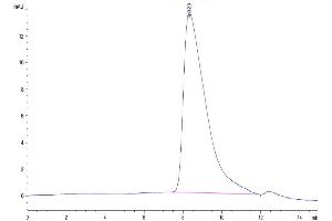 Size-exclusion chromatography-High Pressure Liquid Chromatography (SEC-HPLC) image for Prostaglandin F2 Receptor Negative Regulator (PTGFRN) (AA 26-832) protein (His tag) (ABIN7274263)