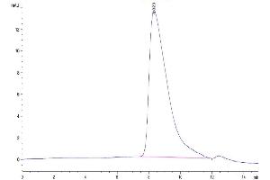 The purity of Human CD9P1 is greater than 95 % as determined by SEC-HPLC. (PTGFRN Protein (AA 26-832) (His tag))