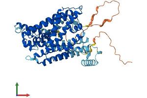 Protein Structure (PS) image for Solute Carrier Family 7 (Amino Acid Transporter Light Chain, Y+L System), Member 7 (Slc7a7) (AA 1-511) protein (His tag) (ABIN7556061)