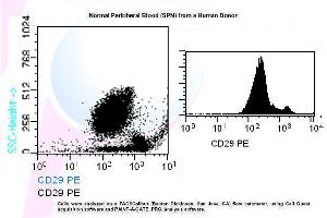 Image no. 1 for anti-Integrin beta 1 (ITGB1) antibody (PE) (ABIN1112109) (ITGB1 抗体  (PE))