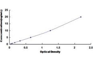 Typical standard curve (CACNA1D ELISA 试剂盒)