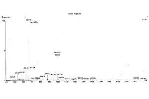 Image no. 1 for Caveolin 1, Caveolae Protein, 22kDa (CAV1) protein (Ovalbumin) (ABIN1880245) (Caveolin-1 Protein (Ovalbumin))