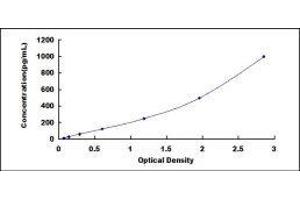 ELISA image for Transforming Growth Factor, beta 1 (TGFB1) ELISA Kit (ABIN414318)