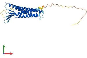 Protein Structure (PS) image for Claudin 15 (CLDN15) (AA 1-227) protein (His tag) (ABIN7556354)