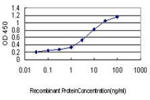 Detection limit for recombinant GST tagged RNF14 is approximately 0. (RNF14 抗体  (AA 217-316))
