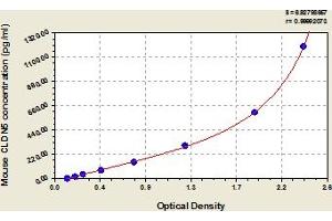 Typical Standard Curve (Claudin 5 ELISA 试剂盒)