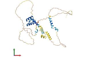 AlphaFold protein structure predicition of Human Recombinant VSX2 Protein, UniprotID P58304
