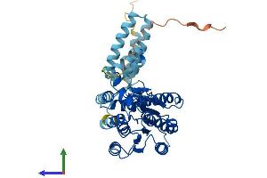 AlphaFold protein structure predicition of Human Recombinant HSD11B2 Protein, UniprotID P80365