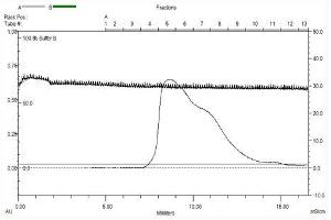 Cadherin 8 (CDH8) (AA 62-621), Gel filtration Superose 6, Fraction 8-9