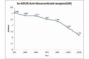 Antigen: 0. (Glucocorticoid Receptor 抗体  (AA 231-320))