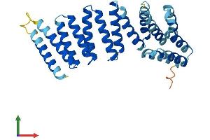 Protein Structure (PS) image for N-Ethylmaleimide-Sensitive Factor Attachment Protein, alpha (NAPA) (AA 1-295) protein (His tag) (ABIN7561250)