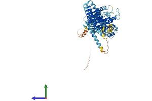 Protein Structure (PS) image for Myxovirus Resistance Protein 1 (MX1) (AA 1-662) protein (His tag) (ABIN7554645)