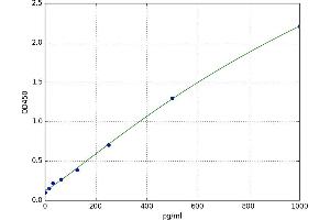 Growth Differentiation Factor 11 (GDF11) ELISA Kit