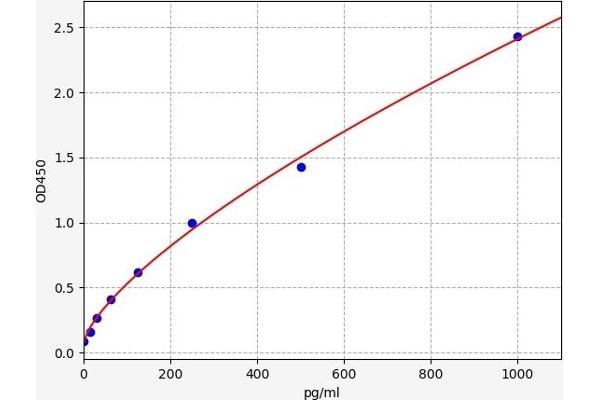 Retinoic Acid Receptor gamma ELISA 试剂盒