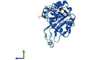 AlphaFold protein structure predicition of Mouse Recombinant Dph5 Protein, UniprotID Q9CWQ0