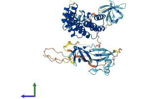 Protein Structure (PS) image for Neutrophil Cytosolic Factor 2 (NCF2) (AA 1-526) protein (His tag) (ABIN7549650)