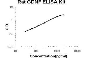 Rat GDNF PicoKine ELISA Kit standard curve (GDNF ELISA 试剂盒)