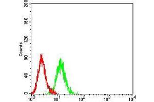 Flow cytometric analysis of K562 cells using P2RY1 mouse mAb (green) and negative control (red). (P2RY1 抗体)