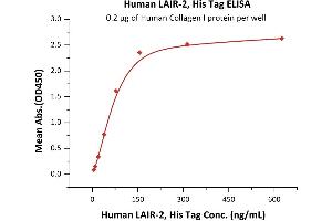 Immobilized Human Collagen I protein at 2 μg/mL (100 μL/well) can bind Human LAIR-2, His Tag (ABIN2181450,ABIN2181449) with a linear range of 5-78 ng/mL (QC tested). (LAIR2 Protein (AA 22-152) (His tag))