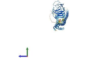 Protein Structure (PS) image for Tripartite Motif Family-Like 1 (TRIML1) (AA 1-470) protein (His tag) (ABIN7558939)