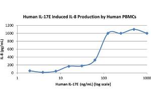 SDS-PAGE of Human Interleukin-17E (IL-25) Recombinant Protein Bioactivity of Human Interleukin-17E (IL-25) Recombinant Protein. (IL-25 蛋白)