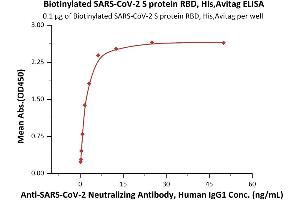 Immobilized Biotinylated SARS-CoV-2 S protein RBD, His,Avitag (ABIN6952456,ABIN6952463) at 1 μg/mL (100 μL/well) on streptavidin precoated (0. (SARS-CoV-2 Spike S1 Protein (RBD) (His tag,AVI tag,Biotin))
