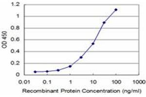 Detection limit for recombinant GST tagged PHF1 is approximately 1ng/ml as a capture antibody. (PHF1 抗体  (AA 2-100))