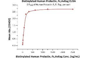 Immobilized Human Prolactin R, Fc Tag (ABIN5674642,ABIN6253668) at 5 μg/mL (100 μL/well) can bind Biotinylated Human Prolactin, Fc,Avitag (ABIN5954928,ABIN6253576) with a linear range of 5-156 ng/mL (QC tested). (Prolactin Protein (PRL) (AA 29-227) (Fc Tag,AVI tag,Biotin))