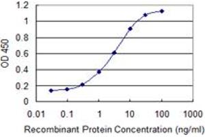 Detection limit for recombinant GST tagged HEXIM1 is 0. (HEXIM1 抗体  (AA 1-359))