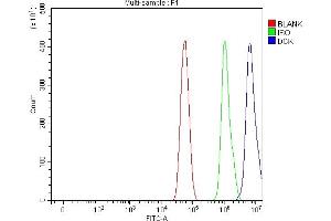 Flow Cytometry analysis of U87 cells using anti-DCK antibody (ABIN5693016).