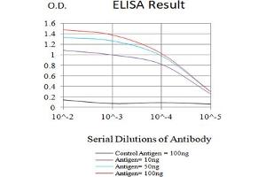 Black line: Control Antigen (100 ng),Purple line: Antigen (10 ng), Blue line: Antigen (50 ng), Red line:Antigen (100 ng) (LY75/DEC-205 抗体)