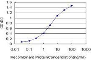 Detection limit for recombinant GST tagged ZNF124 is approximately 0. (ZNF124 抗体  (AA 121-229))