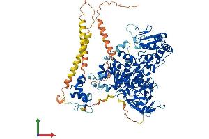 Protein Structure (PS) image for Mannosyl (Alpha-1,6-)-Glycoprotein beta-1,6-N-Acetyl-Glucosaminyltransferase, Isozyme B (MGAT5B) (AA 1-792) protein (His tag) (ABIN7564179)