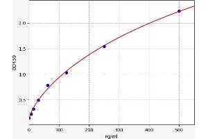 Jun Proto-Oncogene (JUN) ELISA Kit