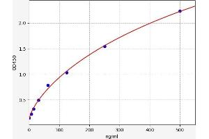 Typical standard curve (C-JUN ELISA 试剂盒)