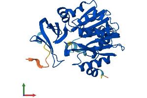 Protein Structure (PS) image for Spermidine Synthase (SRM) (AA 1-302) protein (His tag) (ABIN7546225)