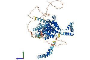 AlphaFold protein structure predicition of Human Recombinant PALS1 Protein, UniprotID Q8N3R9
