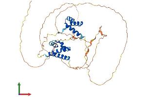 Protein Structure (PS) image for POU Class 2 Homeobox 3 (POU2F3) (AA 1-436) protein (His tag) (ABIN7550859)