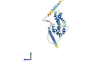 Protein Structure (PS) image for Melanoma Antigen Family B, 18 (MAGEB18) (AA 1-343) protein (His tag) (ABIN7549147)
