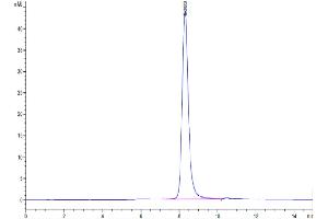 Size-exclusion chromatography-High Pressure Liquid Chromatography (SEC-HPLC) image for Interleukin 3 Receptor, alpha (IL3RA) (AA 19-305) protein (His-Avi Tag,Biotin) (ABIN7274944)