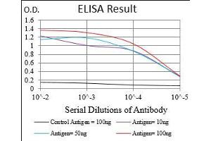 ELISA image for anti-Ferritin, Light Polypeptide (FTL) (AA 1-175) antibody (ABIN2682991)